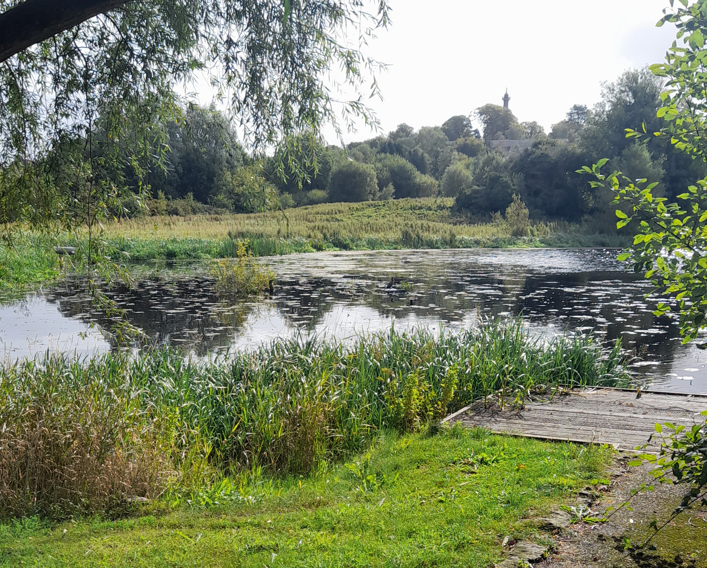 Looking out over the river from land.